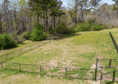 The dog park at Cedar Heights, a large green space surrounded by trees